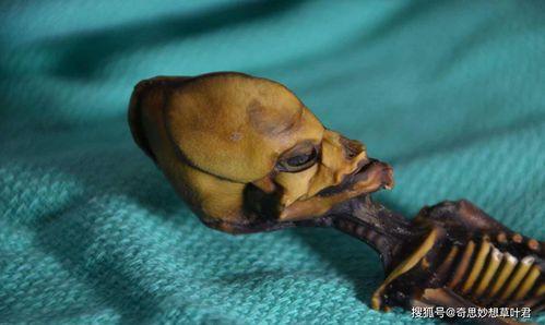 外星人最新爆料  第2张 外星人最新爆料  第2张